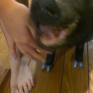 Meet your Posher, Nicolas